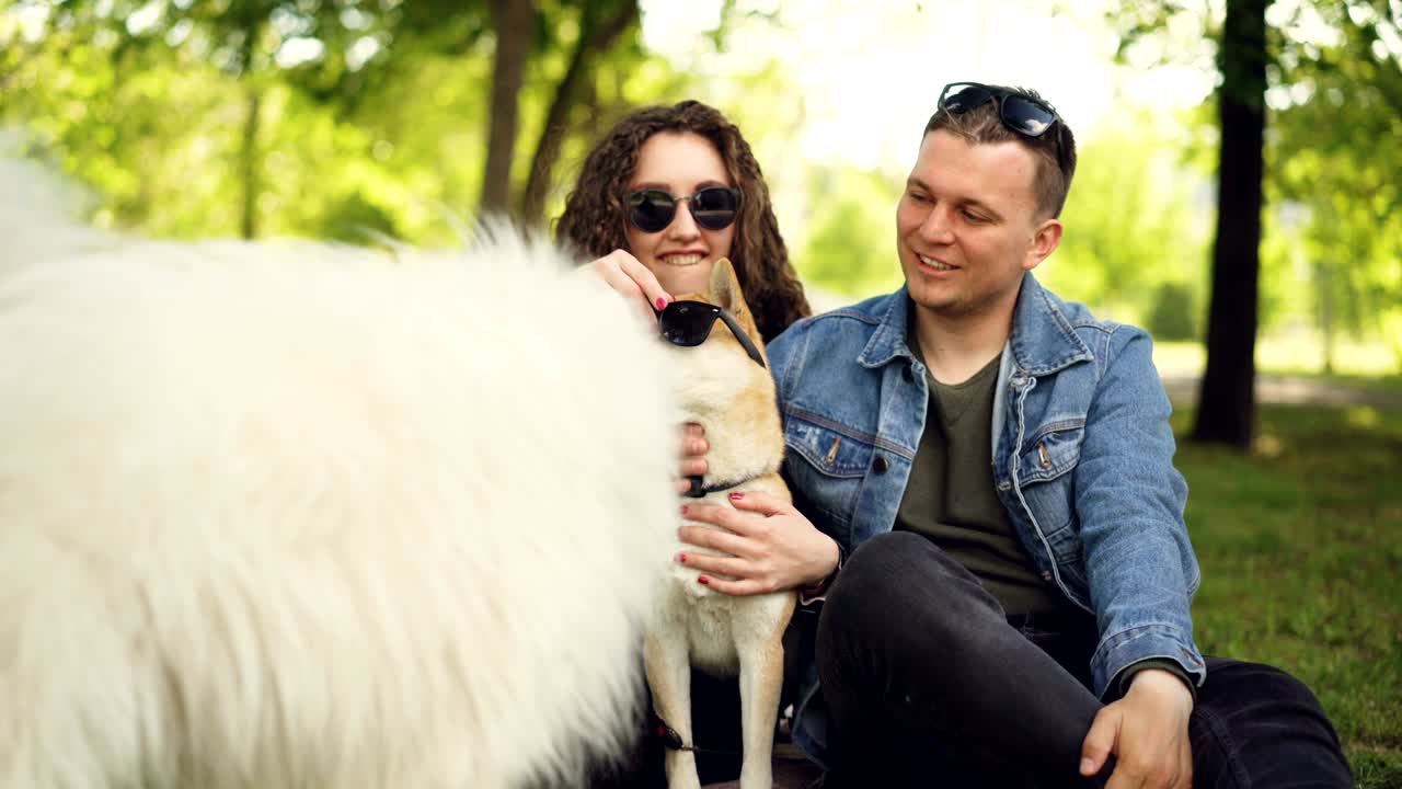 una pareja de chicas y chicos se están divirtiendo en el parque viendo a los perros ponerse gafas de sol a un cachorro shiba inu y riendo. disfrutando del verano, los animales y el concepto de la gente.