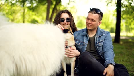 young couple girl and guy are having fun in the park watching dogs putting sunglasses on shiba inu puppy and laughing. enjoying summer, animals and people concept.