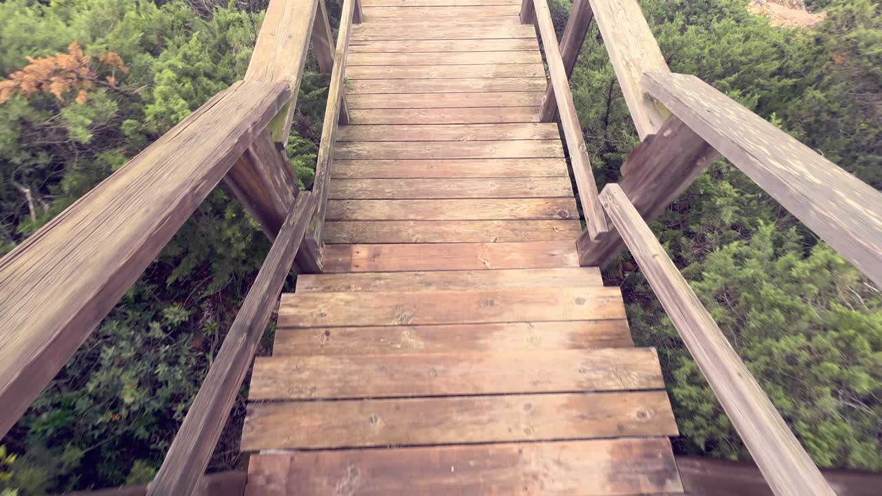 Walking down the wooden promenade stairways pathway surrounded by lush greenery and vegetation, daytime outdoor capture, recreation and free-time activities concept