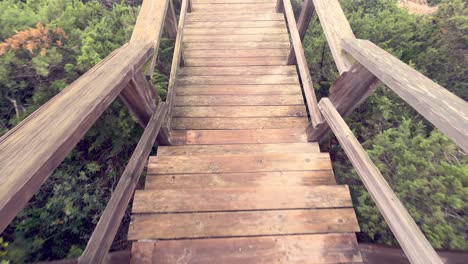 walking down the wooden promenade stairways pathway surrounded by lush greenery and vegetation, daytime outdoor capture, recreation and free-time activities concept