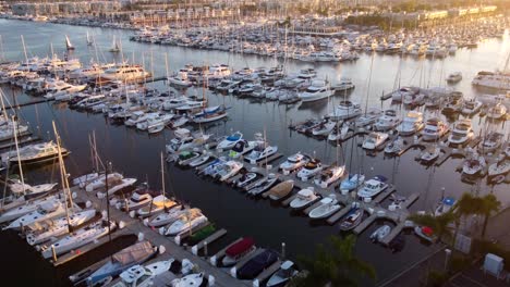 yachts docked at marina on coast of california in america at sunset