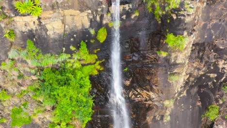 a tropical bambarakanda waterfall in the jungles of sri lanka.