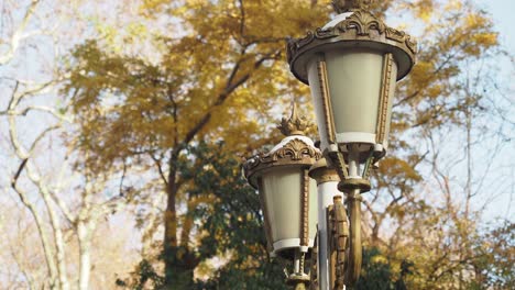 ornamental park lamps in autumn