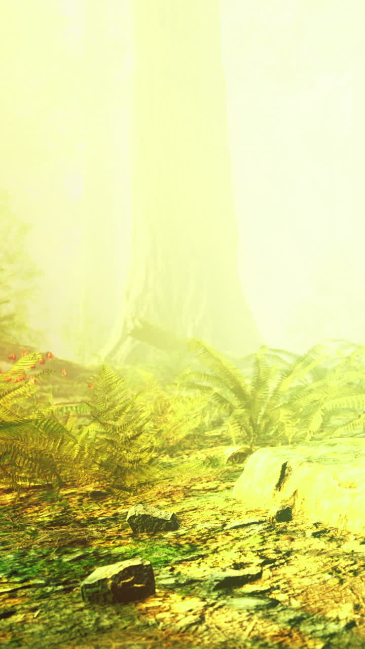 Luce solare intensa che filtra tra gli alberi in una foresta di giorno