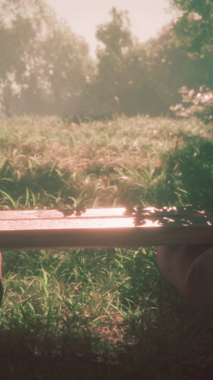 평화로운 숲에서 시골 목조 벤치