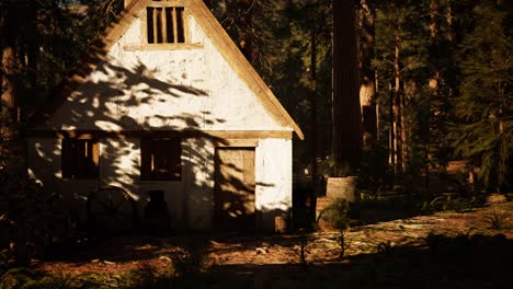 old wooden house in the autumn forest