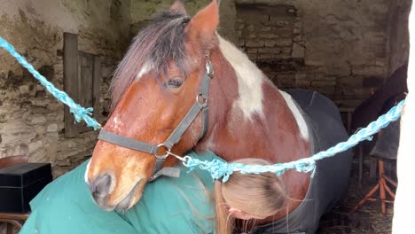 girl stripping her pony's thermal coat