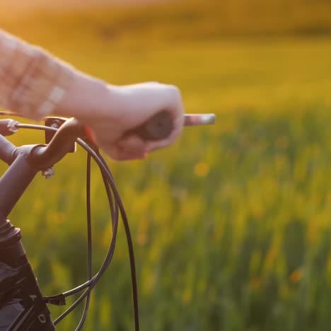 The-Woman's-Hands-On-The-Handlebars-Of-The-Bike-Rides-Along-The-Green-Picturesque-Meadow