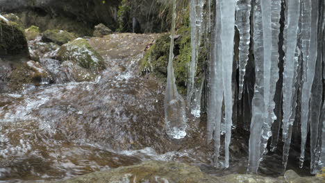 flowing clear water stream from alps with hanging icicles in nature,close up shot