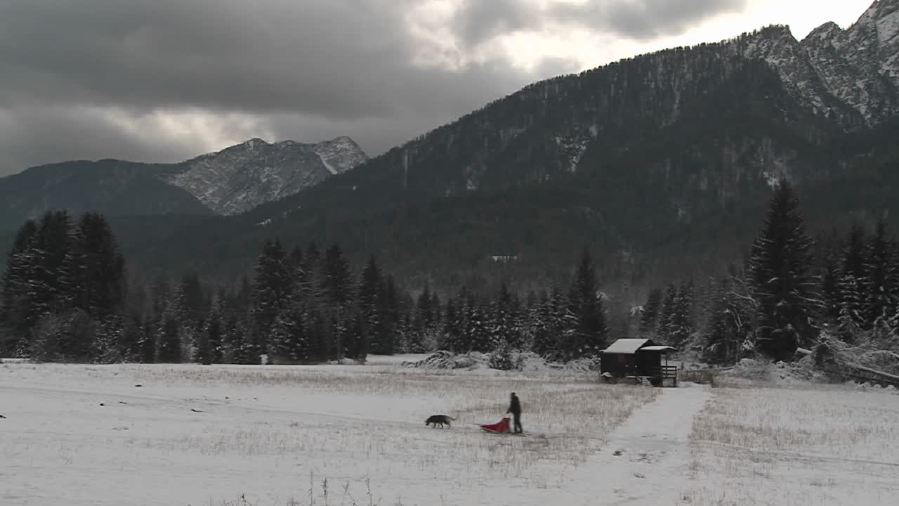 ездовые собаки тянут всадника по замерзшему ландшафту 1