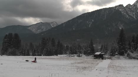 Sled-dogs-pull-a-rider-across-a-frozen-landscape-1