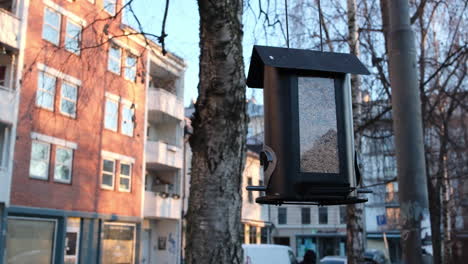 Comedero-Para-Pájaros-Lleno-De-Semillas-En-La-Calle-Con-Edificios-En-El-Fondo-En-Oslo,-Noruega