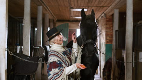 Woman-feeding-animal