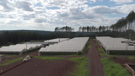 An-aerial-view-of-a-large-greenhouse-complex,-used-for-horticultural-production-on-red-rich-fertilized-soil-and-a-row-of-trees-in-the-background-on-a-partly-cloudy-day