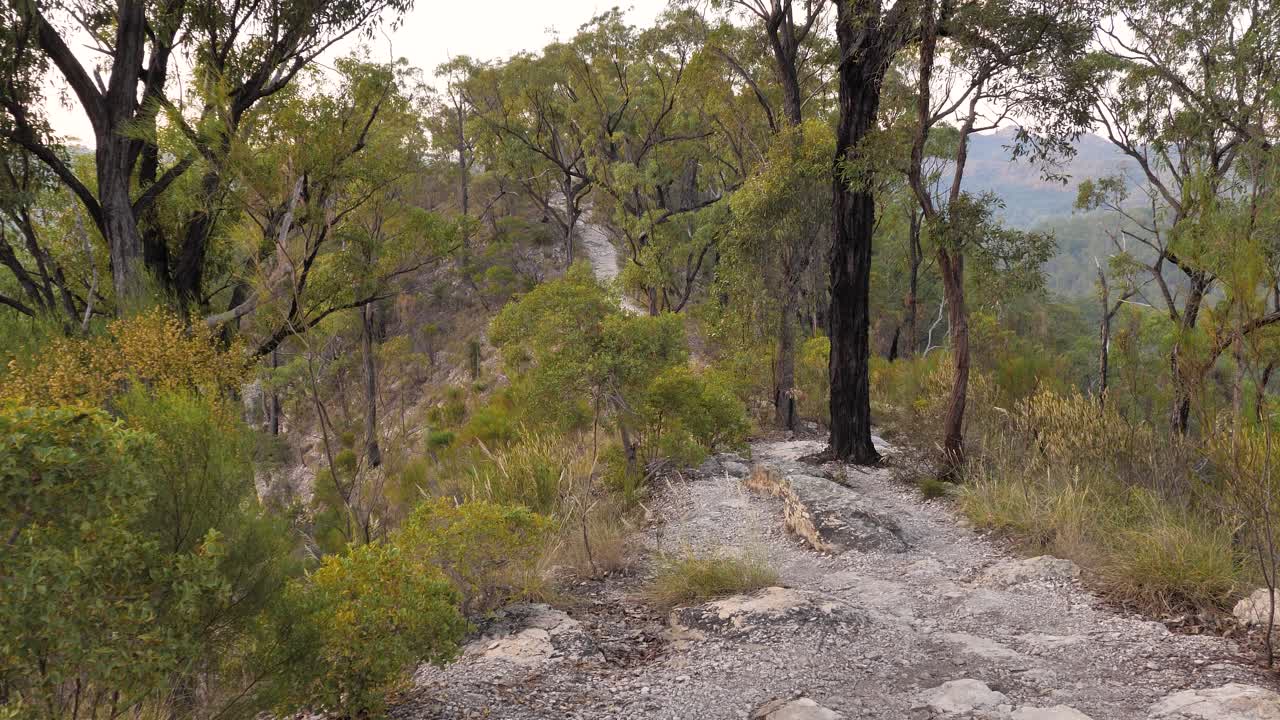 Scenic Hiking Trail Through Australian Bush