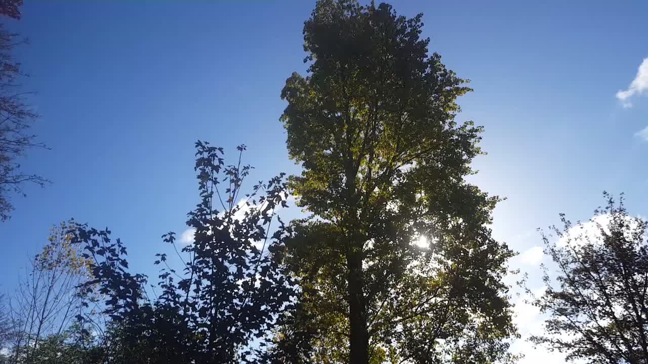 un cielo de día ventoso