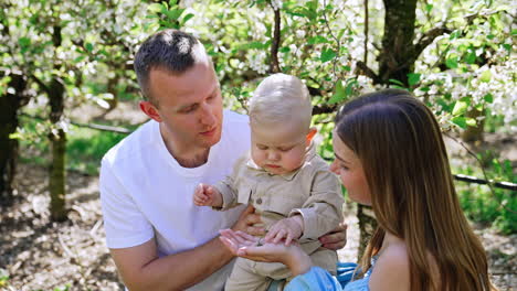 caucasian parents spending time with their baby outdoors. loving mom and dad kiss their beloved son. little kid holding a flower from tree.