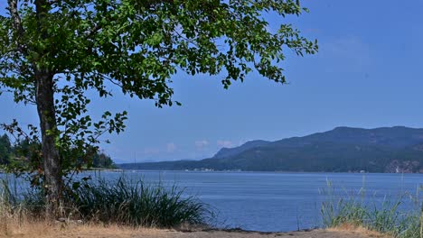 wilderness encounters: exploring nature reserves of campbell river