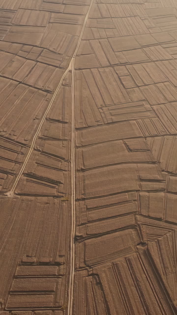 vista aérea de los campos agrícolas