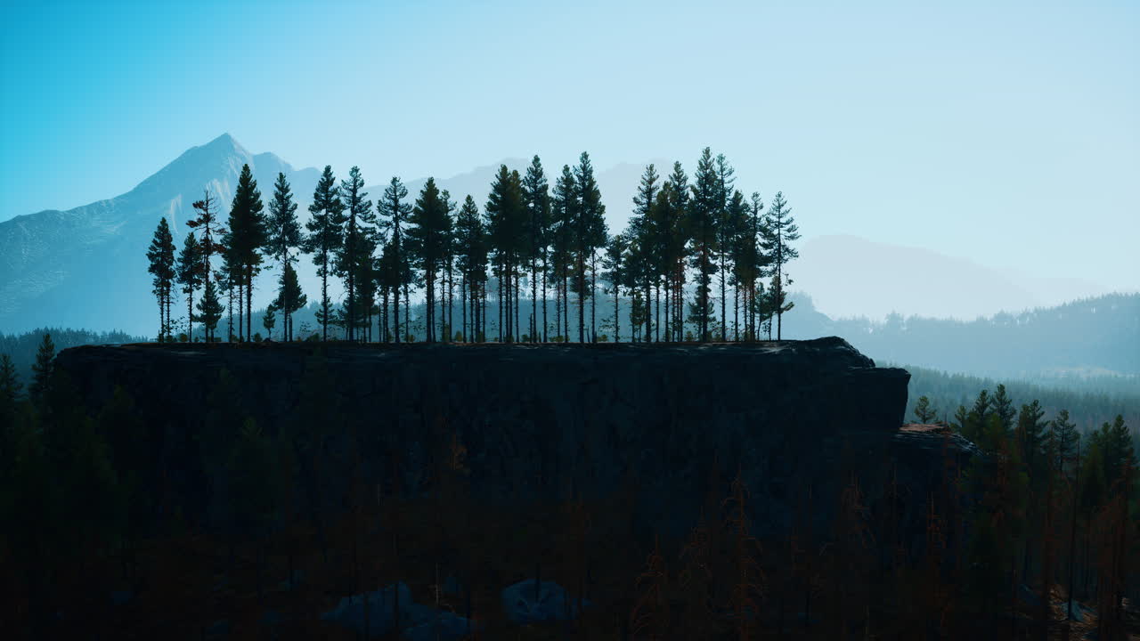 소나무 숲 이 있는 안개 가  ⁇ 인 산악 풍경