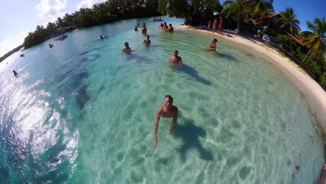 tropical island paradise with tourists
