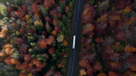 Toma-Aérea-Sobre-Una-Hermosa-Carretera-Rodeada-De-árboles-Coloridos-Durante-El-Otoño-E-Inclinándose-Hacia-Arriba-Para-Revelar-El-Paisaje,-Departamento-De-Jura,-Campo-Francés