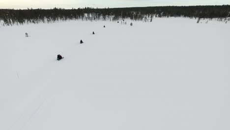snowmobiling in a winter forest landscape