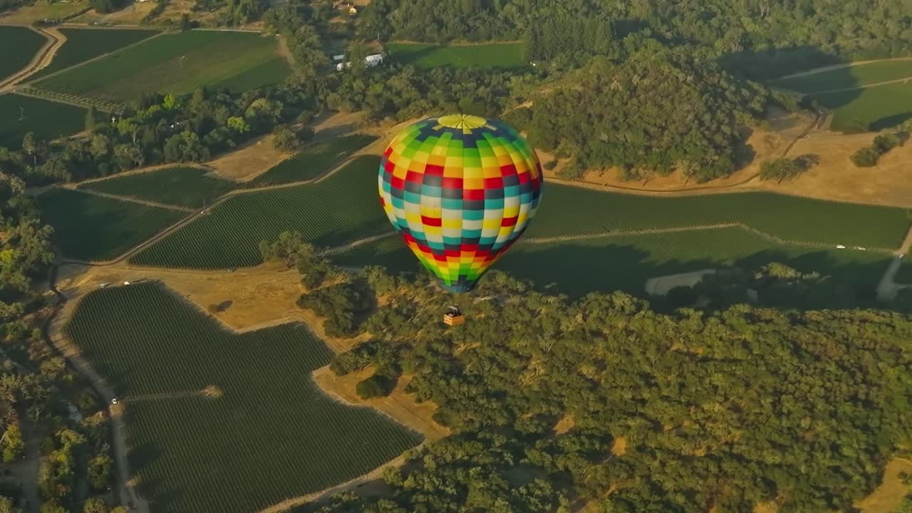 Una mongolfiera sorvola i vigneti in California