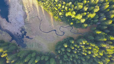 Bird's-perspective-on-swamp-lake-in-the-mountains-in-Europe