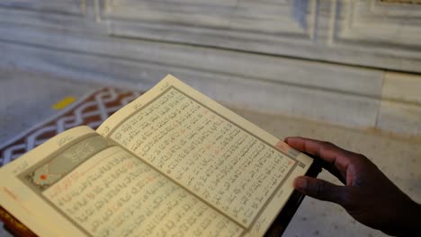 reading quran close-up