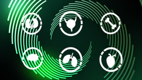 animación de iconos del cuerpo humano sobre fondo verde con líneas