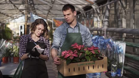 Gutaussehender,-Großer-Männlicher-Gärtner-In-Hemd-Und-Grüner-Schürze,-Der-Karton-Mit-Rosa-Blumenpflanzen-Trägt,-Während-Er-Mit-Seinem-Kollegen-Spazieren-Geht,-Einem-Netten-Mädchen,-Das-Sich-Notizen-Macht