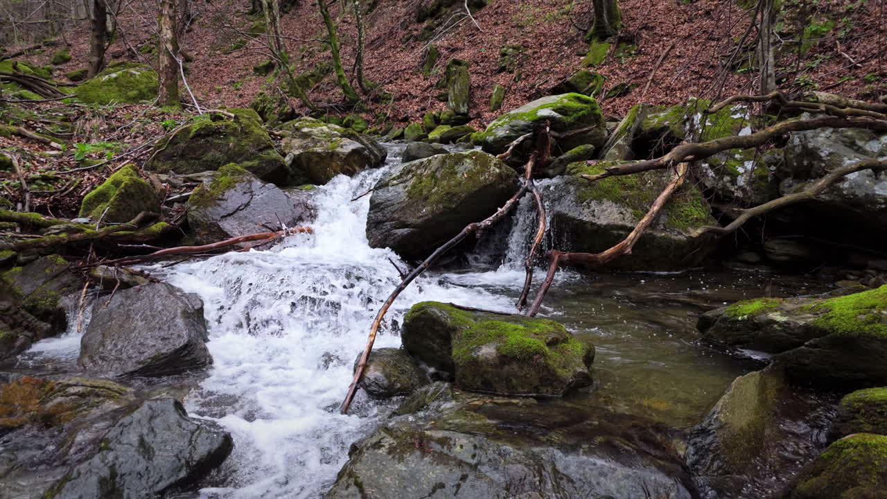 Mountain stream flows over mossy rocks in quiet forest, fallen branches in water