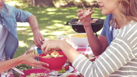 happy family having a picnic