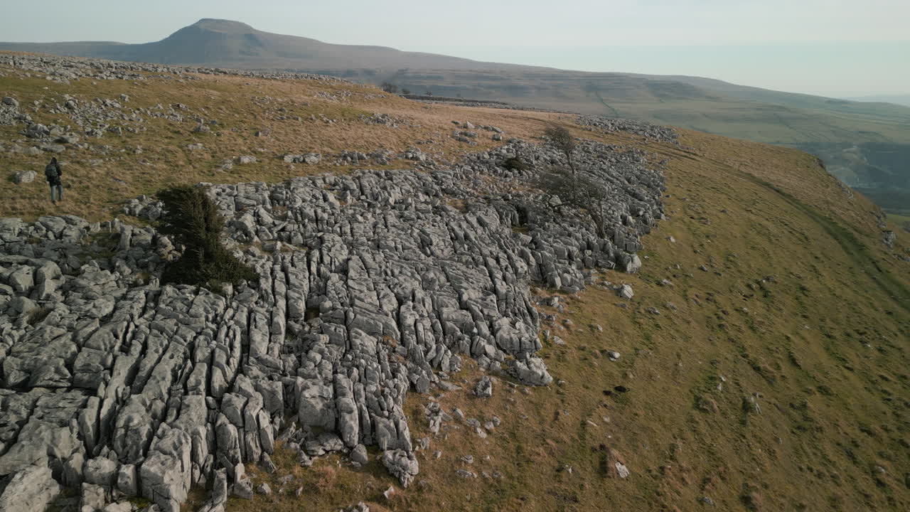 Flying towards old trees on rocky hillside with mountain Ingleborough in the distance at Ingleton Yorkshire UK