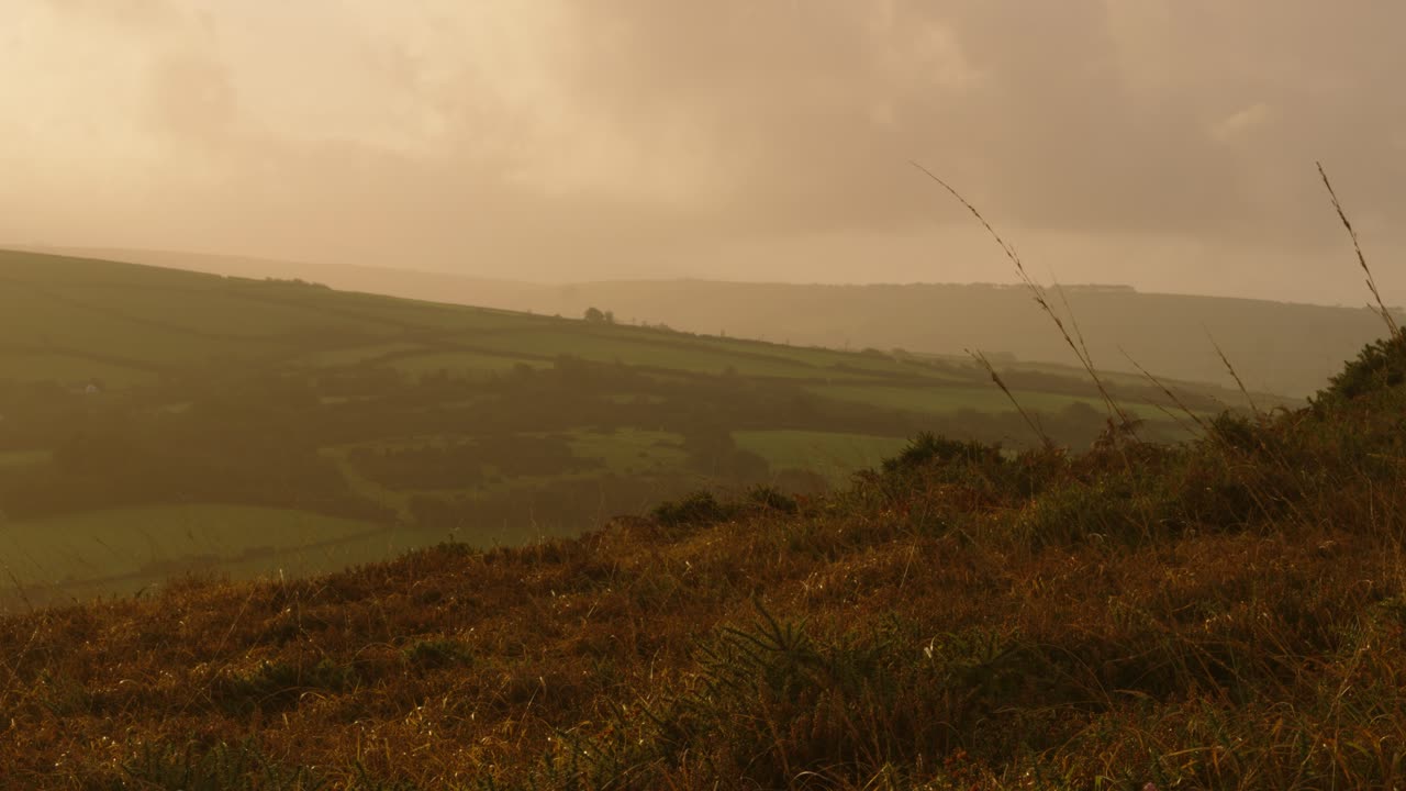 View Over Moorland Landscape with Fields with Ferns and Long Grass in Foreground at Sunrise with Sprawling Fields Across Exmoor in England UK 4K