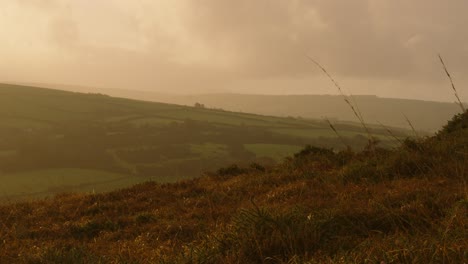 view over moorland landscape with fields with ferns and long grass in foreground at sunrise with sprawling fields across exmoor in england uk 4k