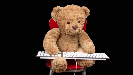 oso de peluche usando un teclado