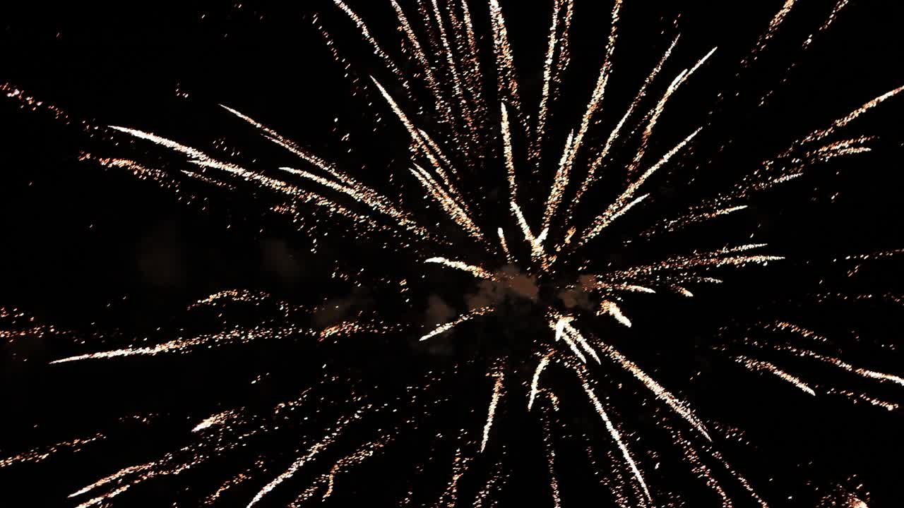 Amazing fireworks in the dark sky.