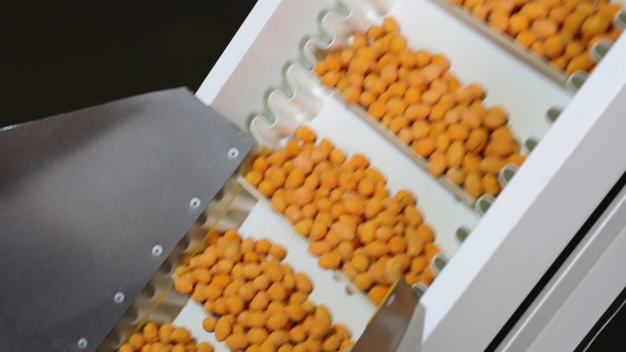 Close shot of a conveyor with beer nuts