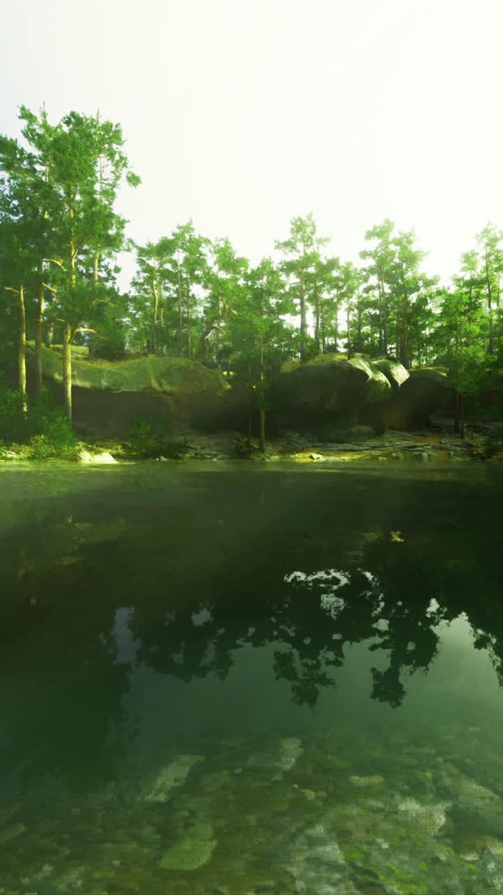 Serene lakeside view with greenery reflecting in calm waters during daylight