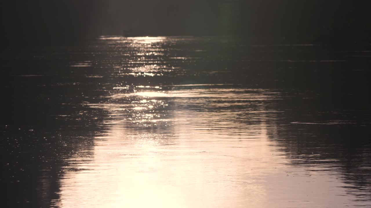 Sunset in the Jungle's of Guyana