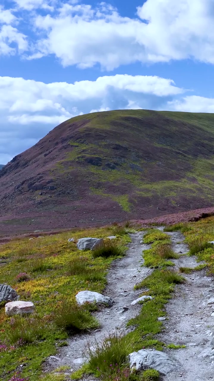La telecamera si muove lungo un sentiero di montagna panoramico, con erica e fiori selvatici sotto un cielo luminoso diurno