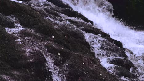 water trickling down rocks on waterfall