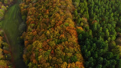 Vuelo-De-Drones-Sobre-Hermosos-Bosques-De-Colores-Otoñales-Y-Paisajes-Otoñales