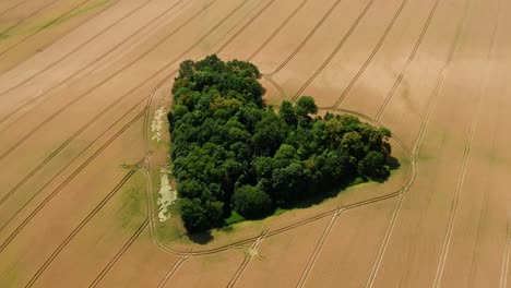 Hain-Der-Liebe-In-Skarszyn,-Polen