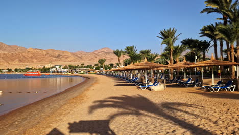 sunshades at shore of dahab with mountains in background and clear beach water in sunny day. blue lagoons.