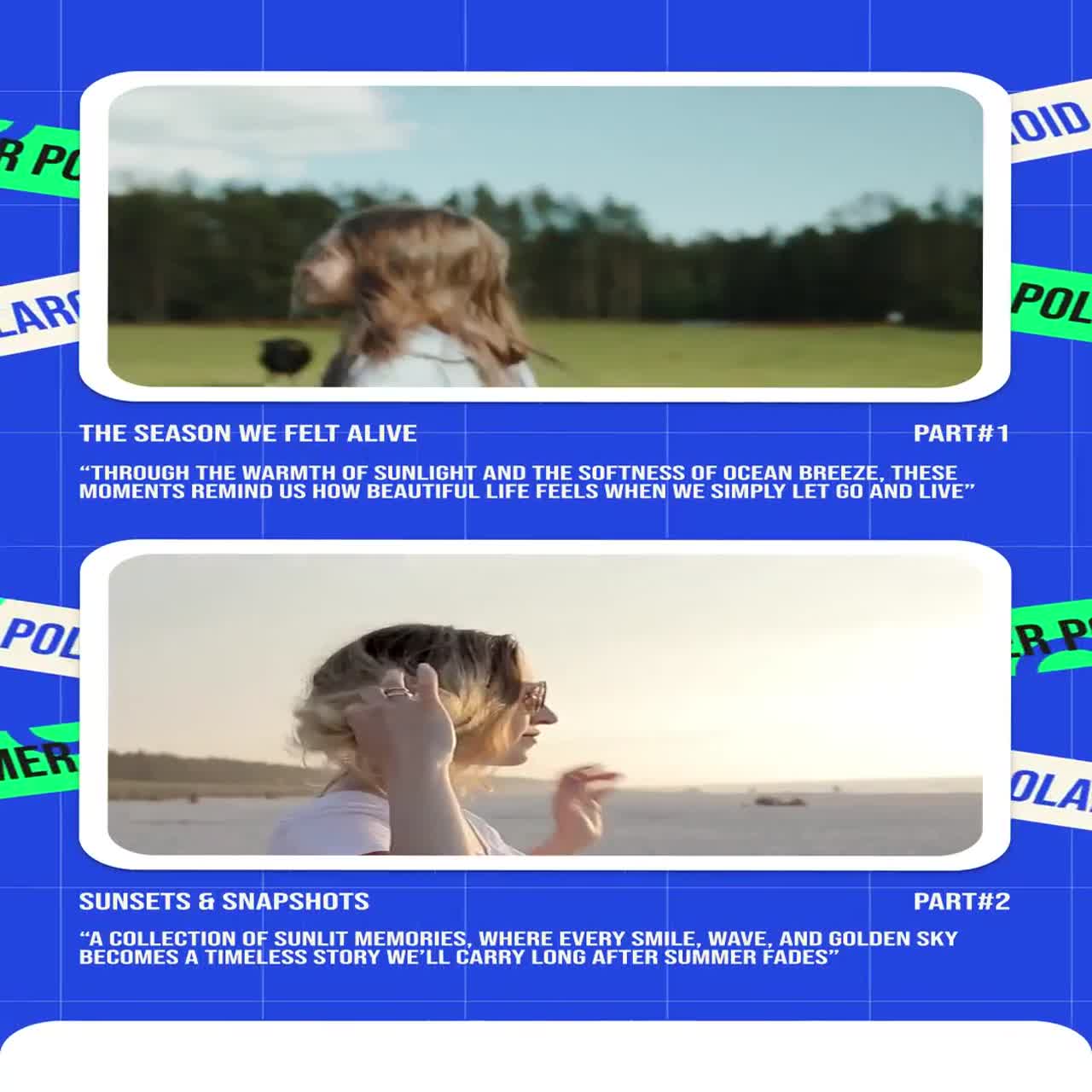 Collection Summer Stories After Effect