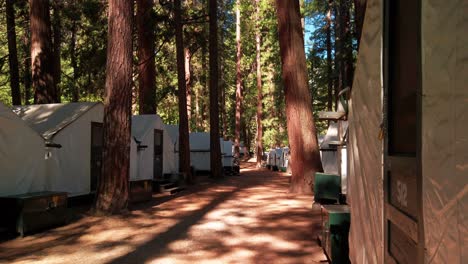 rising shot over a box to reveal rows of tents in a forest