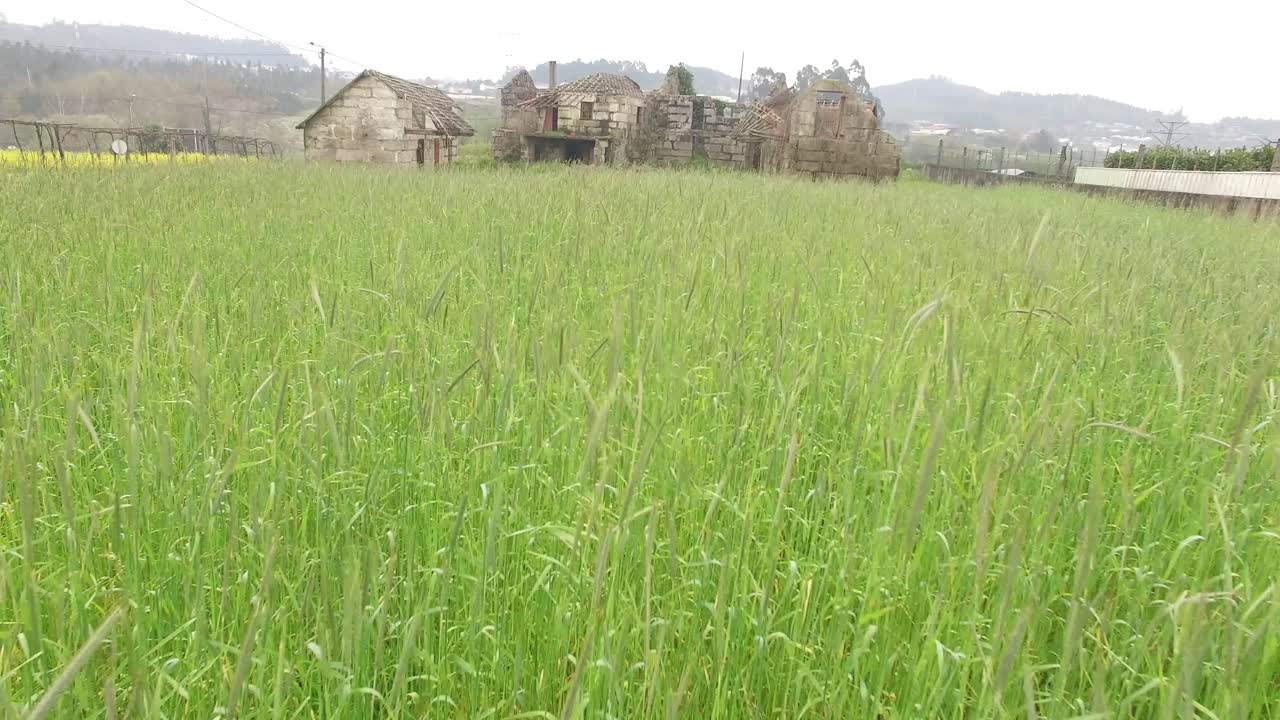 집을 포기하는 방향으로 호밀 위를 날다